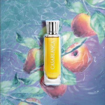Casablanca | Eau De Parfum 100ml | by Swiss Arabian