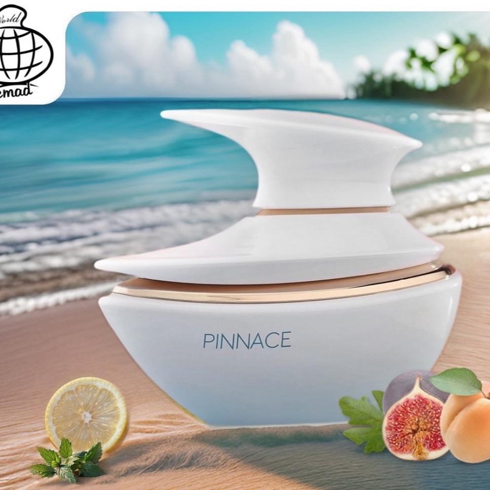 Pinnace 100ml EDP by FA Paris (Fragrance World)