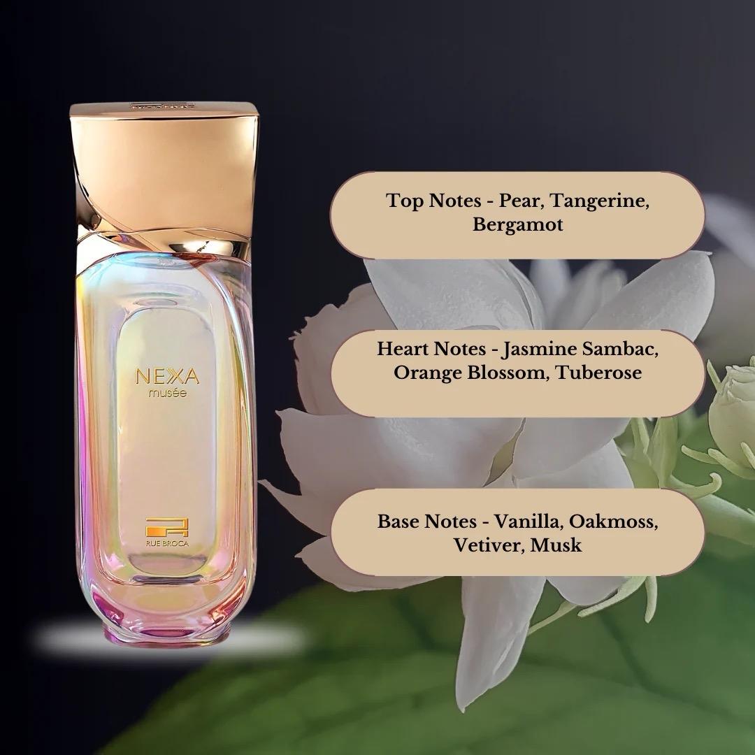 Nexa Musee 100ml EDP by Rue Broca (Afnan)