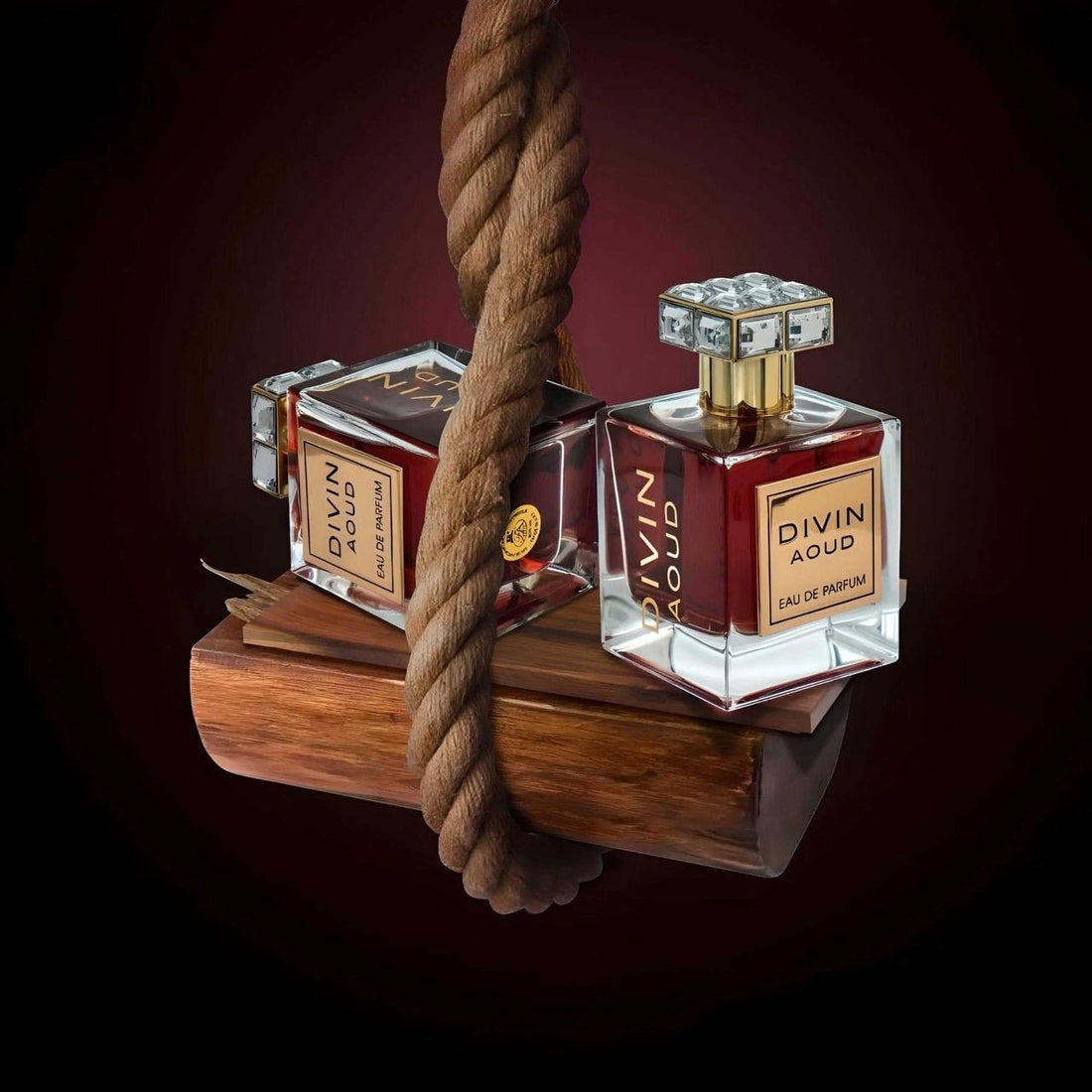 Divin Aoud by FA Paris 100ml