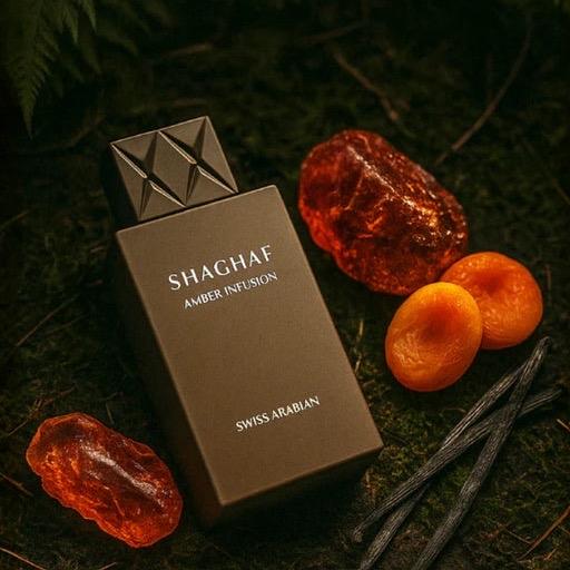 Shagaf Amber Infusion Perfume 75ml EDP Swiss Arabian